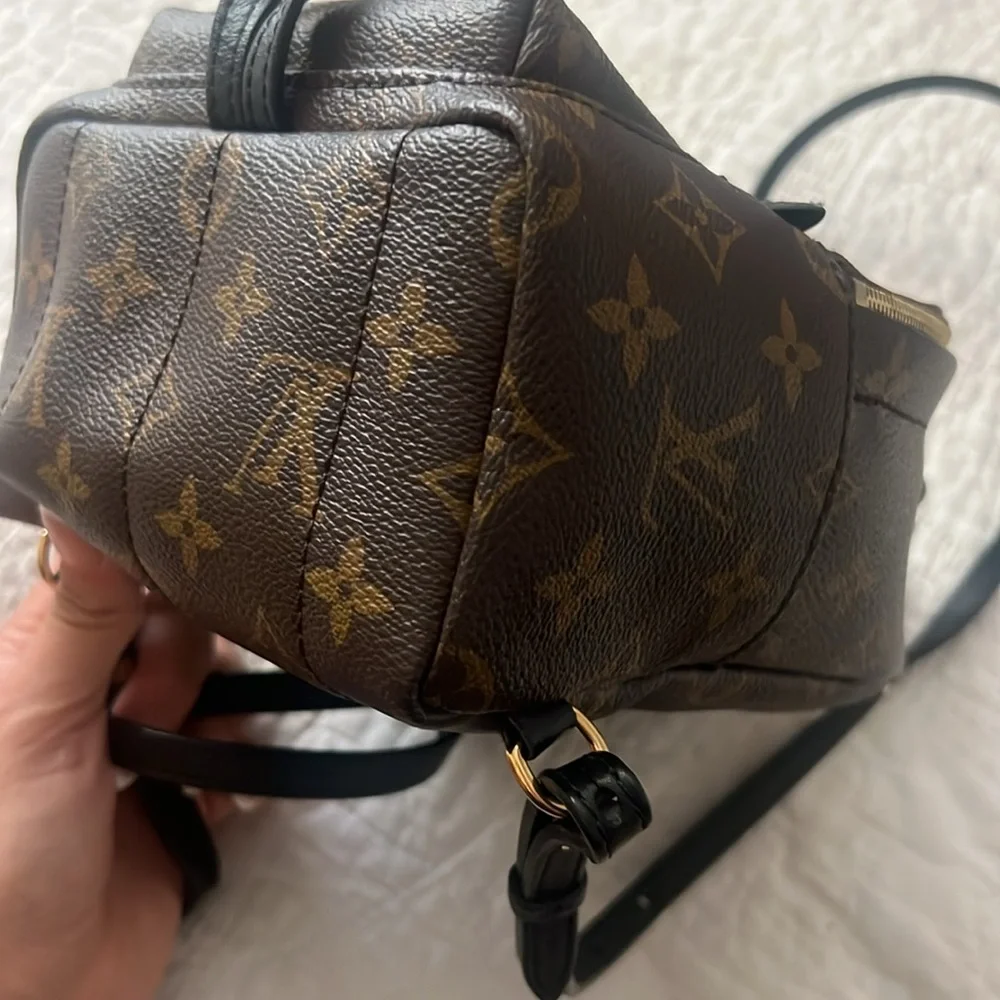 Louis Vuitton Palm Springs Mini